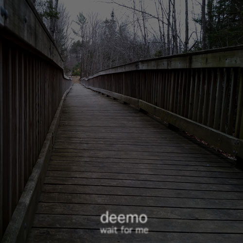 Cover for DJ mix Wait For Me by deemo